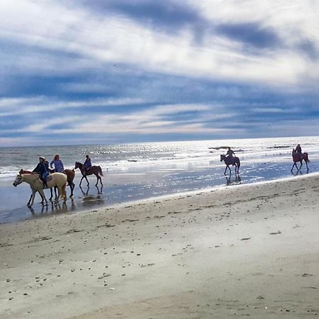 Romantic Oceanfront View, Discounted, Pools Myrtle Beach Exteriér fotografie