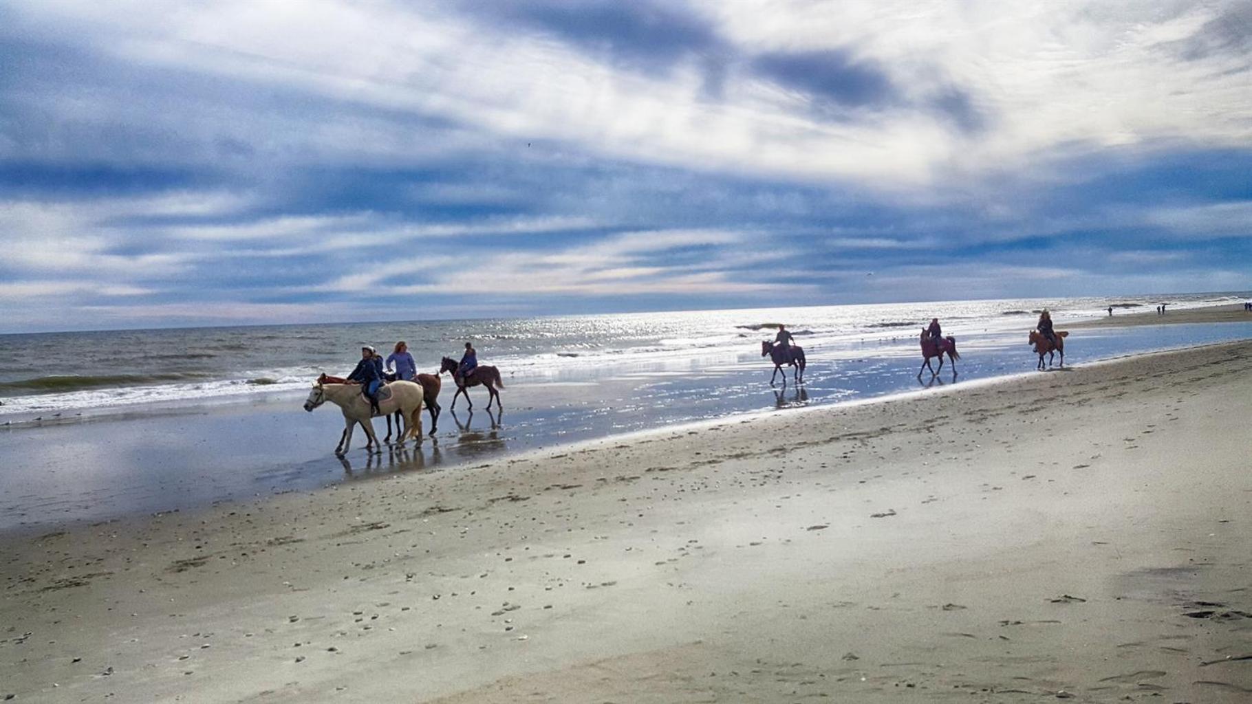 Romantic Oceanfront View, Discounted, Pools Myrtle Beach Exteriér fotografie